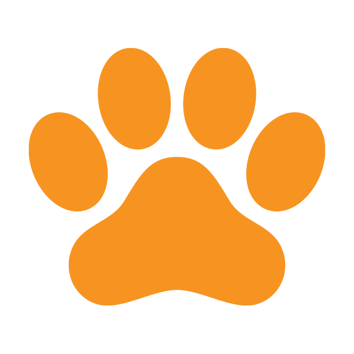 Pets & Vets